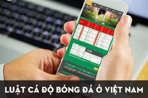 Luật cá độ bóng đá cơ bản mà bạn cần phải biết