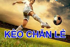 Cược chẵn lẻ là gì? Chia sẻ mẹo chơi kèo chẵn lẻ và kinh nghiệm cá cược bóng đá hay nhất