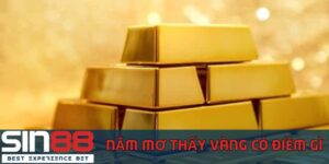 nam-mo-thay-vang-co-bao-hieu-diem-gi