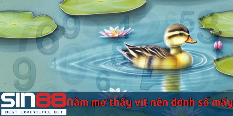 nam-mo-thay-vit-nen-danh-so-may